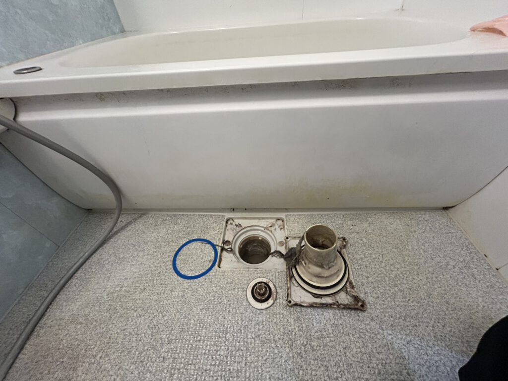 浴槽排水トラップ清掃Before