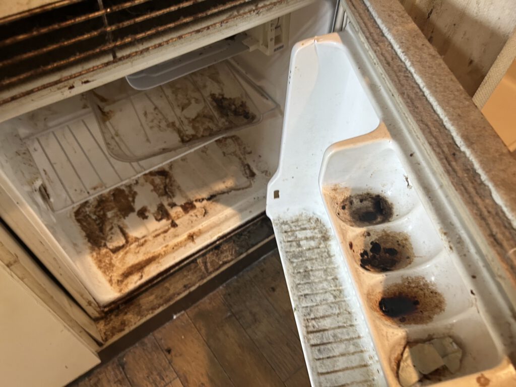 冷蔵庫洗浄Before