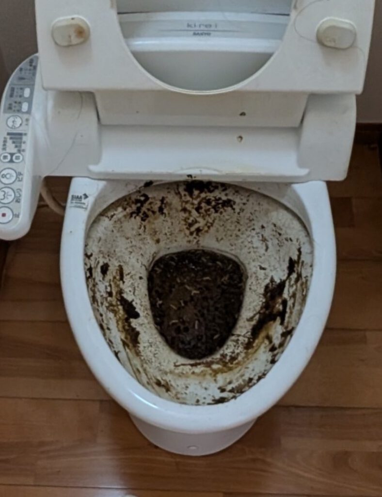 トイレ丸洗いBefore